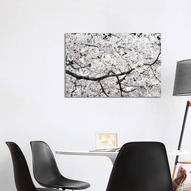 Sakura Cherry Blossom by Philippe Hugonnard - Wrapped Canvas Art Prints (101.6 cm H x 66.04 cm W x 1.91 cm D)