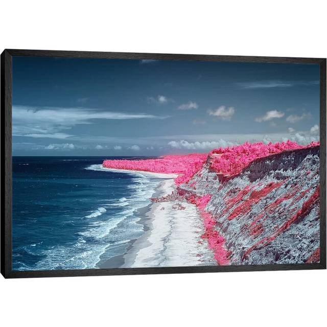 Costal Magenta Beach - Bahia, Brazil - Black Framed (66.04cm H x 101.6cm W x 3.81cm D)