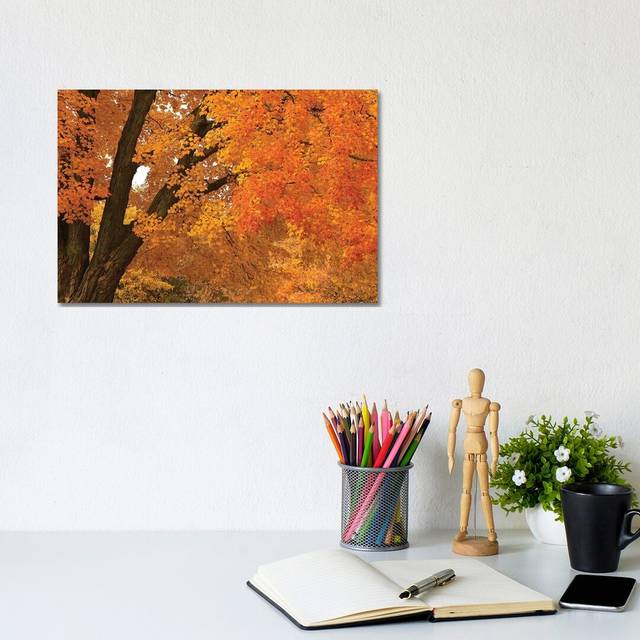 Maple Canopy (20.32 cm H x 30.48 cm W)