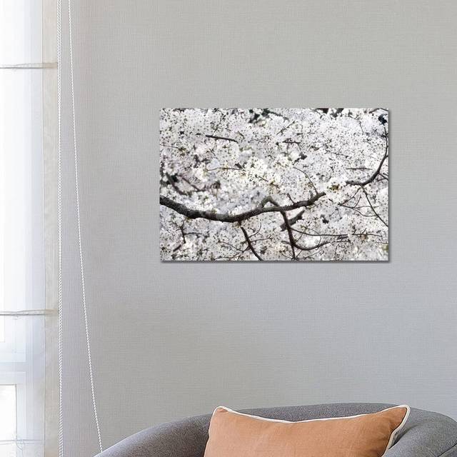 Sakura Cherry Blossom by Philippe Hugonnard - Wrapped Canvas Art Prints (66.04 cm H x 45.72 cm W x 3.175 cm D)