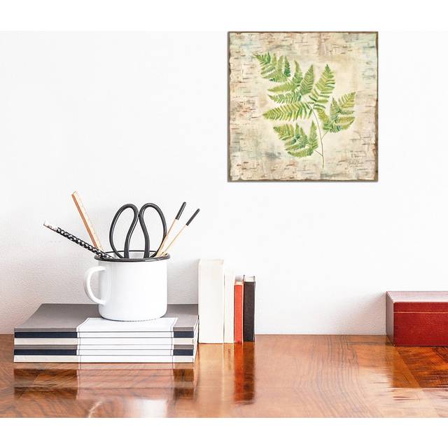 Birch Bark Ferns II (30.48cm H x 30.48cm W x 1.91cm D)