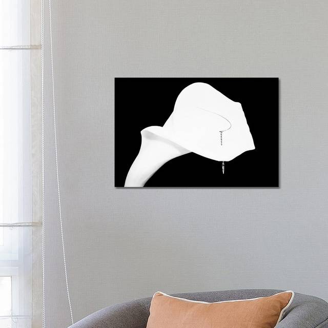 Still Life Shot Of Pierced Calla Lily Flower I by Panoramic Images - Wrapped Canvas Graphic Art (45.72cm H x 66.04cm W x 3.81cm D)