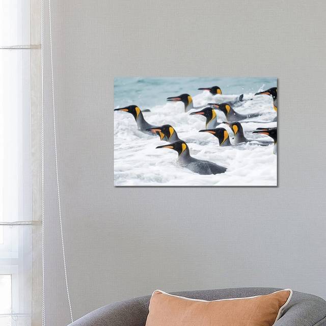 King Penguin Rookery on Salisbury Plain in the Bay of Isles. South Georgia Island by Martin Zwick - Wrapped Canvas Photograph (45.72cm H x 66.04cm W x 1.91cm D)