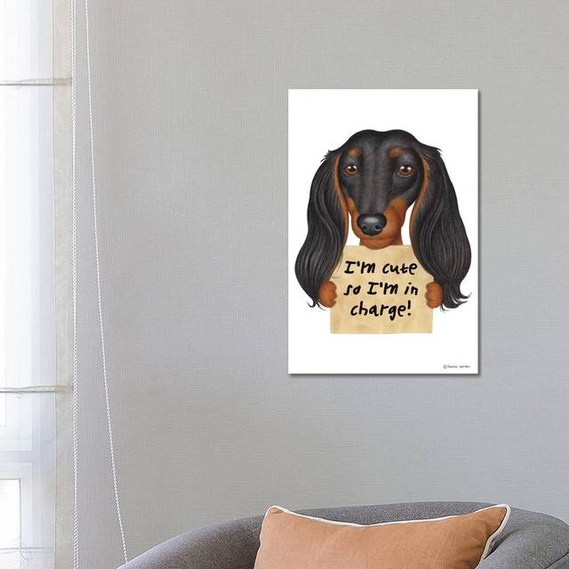 Dachshund I'm Cute Long, Hairy Ears by Danny Gordon - Wrapped Canvas Graphic Art (66.04cm H X 45.72cm W)