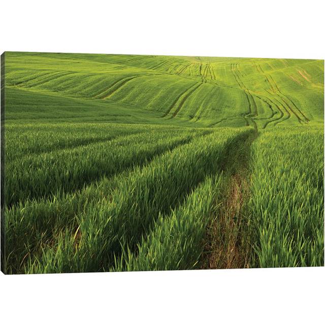 Spring in Tuscany XV by Daniel Kordan - Wrapped Canvas Photograph (20.32cm H x 30.48cm W x 1.91cm D)