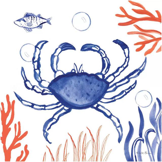 Coastal Jewels V (30.48 cm H x 30.48 cm W)