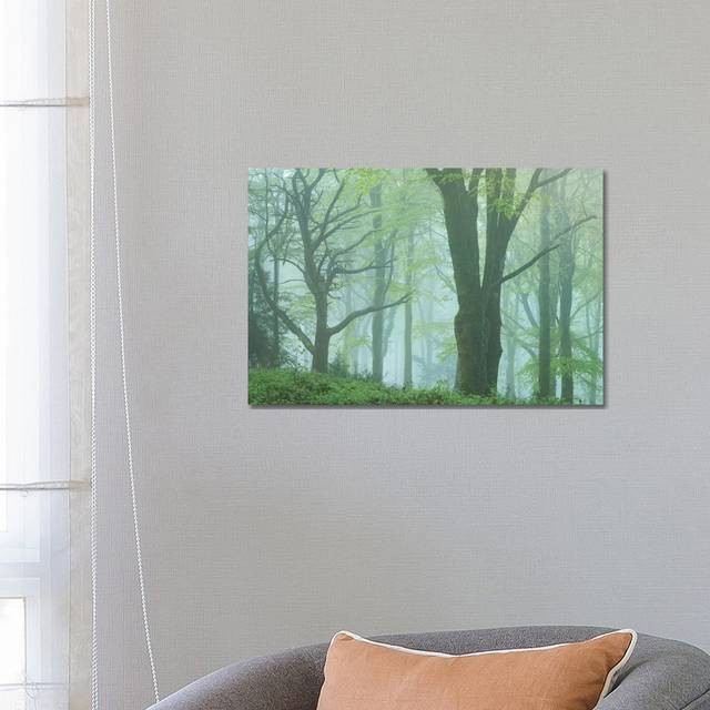 Enchanted Forest II by Adam Burton - Wrapped Canvas Graphic Art (66.04 cm H x 45.72 cm W x 1.91 cm D)