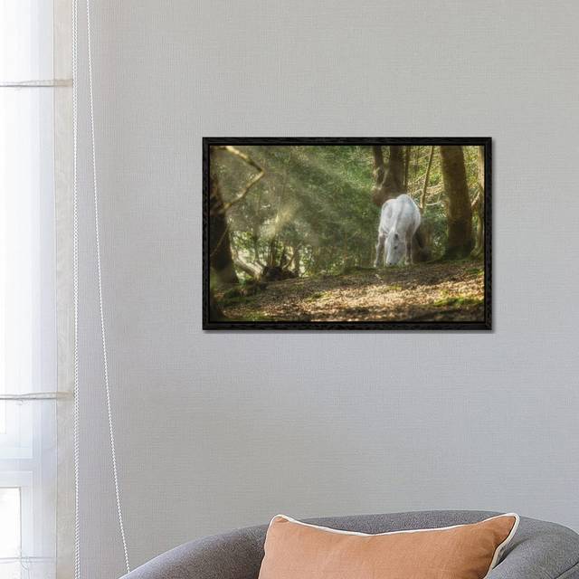Mystical Pony by David Gardiner - Photograph on Canvas - Black Framed (45.72cm H X 66.04cm W)