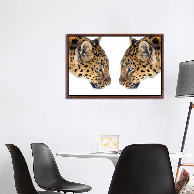 Mirrored by David Gardiner - Photograph on Canvas - Brown Framed (66.04cm H x 101.6cm W)