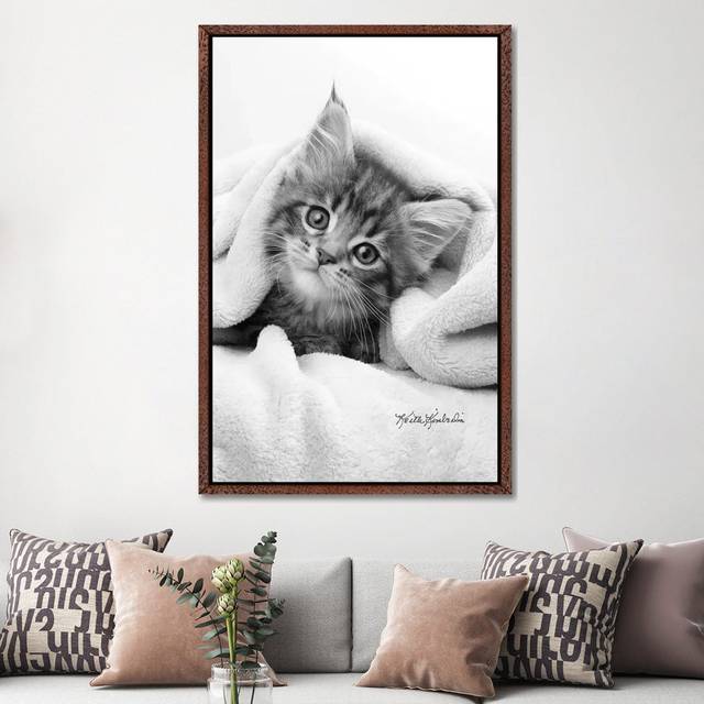 Bug in a Rug by Keith Kimberlin - Photograph Print on Canvas - Classic Brown Wood Framed (152.5 cm H x 101.5 cm W)