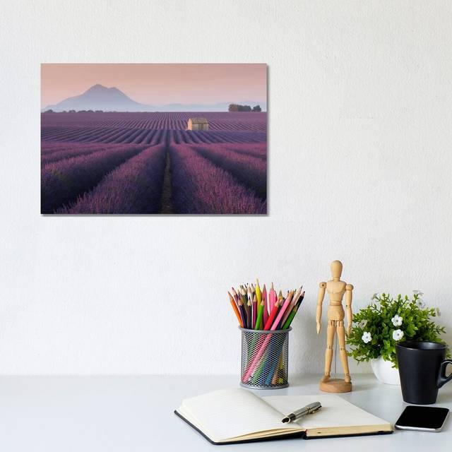 Lavender Fields of Provence III by Daniel Kordan - Photograph Print on Canvas - Wrapped Canvas (20.32 cm H x 30.48 cm W)