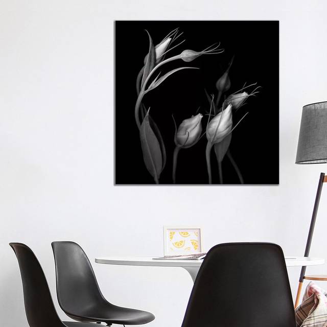 Lisianthus IV, B&W by Magda Indigo - Wrapped Canvas Graphic Art (93.98cm H x 93.98cm W x 1.905cm D)