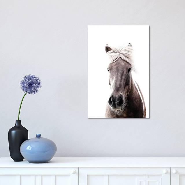 Iceland Horse Lucy I by Monika Strigel - Wrapped Canvas Graphic Art (45.72cm H x 30.48cm W x 1.91cm D)
