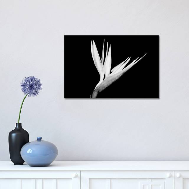 Still-Life Shot Of A Bird Of Paradise Flower - Wrapped Canvas Photograph (30.48cm H x 45.72cm W x 1.91cm D)
