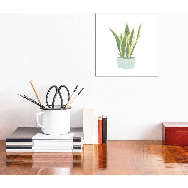 Snake Plant III by Bannarot - Wrapped Canvas Graphic Art (30.48 cm H x 30.48 cm W)