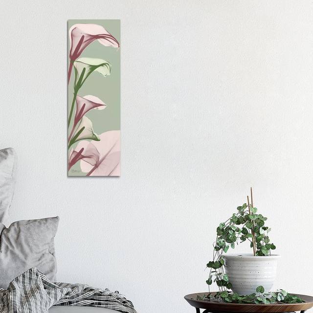 Spring Time Calla Lilies - Wrapped Canvas Panoramic Graphic Art (30.48 cm H x 91.44 cm W x 1.91 cm D)