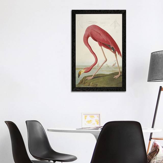 'American Flamingo' by John Audubon - Floater Frame Painting Print on Canvas - Black Framed (66.04 cm H x 45.72 cm W)