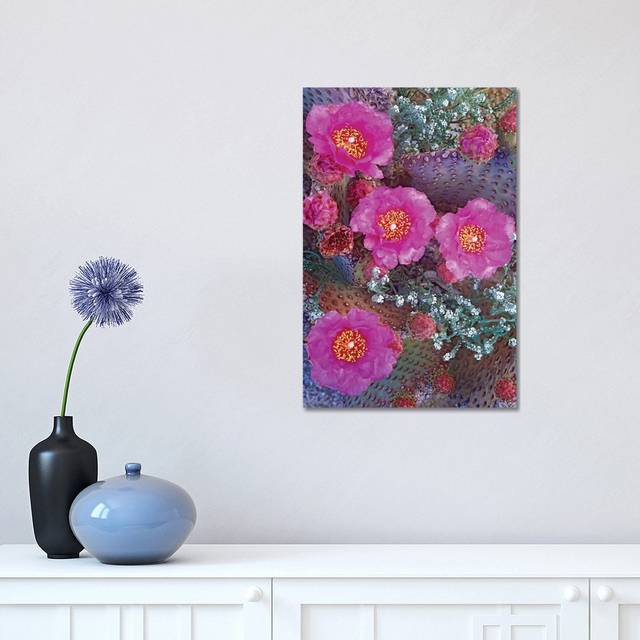 Beavertail Cactus Flowering, North America by Tim Fitzharris - Wrapped Canvas Art Prints (45.72 cm H  x 30.48 cm W)