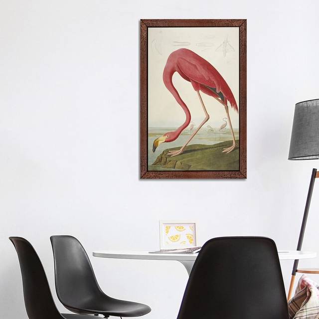 'American Flamingo' by John Audubon - Floater Frame Painting Print on Canvas - Brown Framed (152.5 cm H x 101.5 cm W)