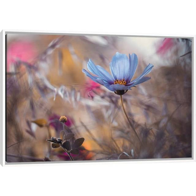 Things That Flowers Tell by Fabien Bravin - Floater Frame Photograph on Canvas (66.04cm H X 45.72cm W)