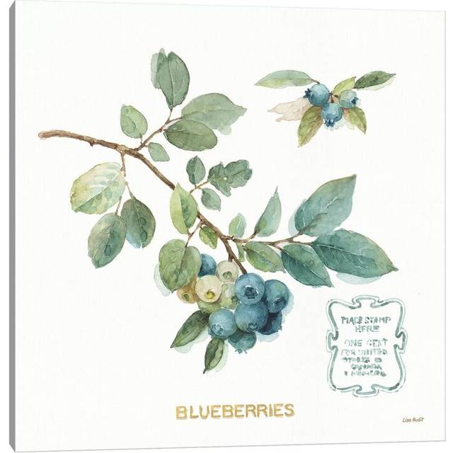 My Greenhouse Fruit II by Lisa Audit - Wrapped Canvas Painting (30.48cm H x 30.48cm W x 1.91cm D)