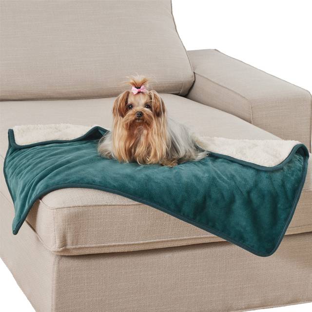 Bedsure Cat Blanket for Indoor Cats - Waterproof Calming Cat Blankets for Kitten  Sherpa Fleece Pet Blanket  Soft Plush Reversible Throw Furniture Pro