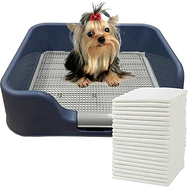 PS KOREA] Indoor Dog Potty Tray - with Protection Wall Every Side for No Leak  Spill  Accident - Keep Paws Dry and Floors Clean (Blue) + Pee PAD 100 P
