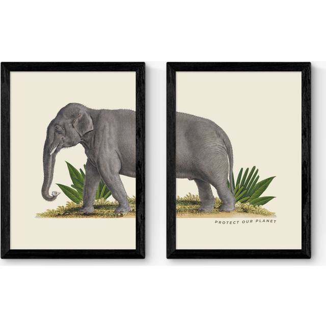 EAST END PRINTS Natural History Museum 'Elephant' Framed Print, Set of 2