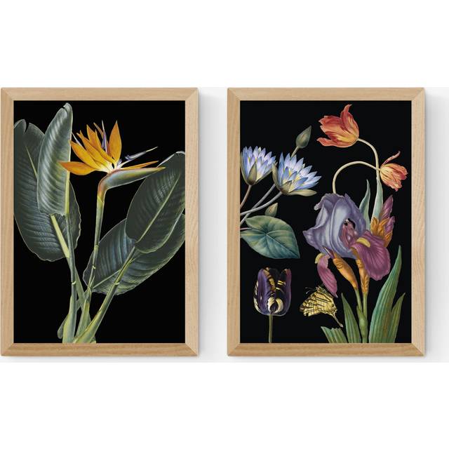 EAST END PRINTS Natural History Museum 'Dark Floral' Framed Print, Set of 2