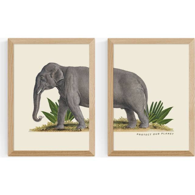 EAST END PRINTS Natural History Museum 'Elephant' Framed Print, Set of 2