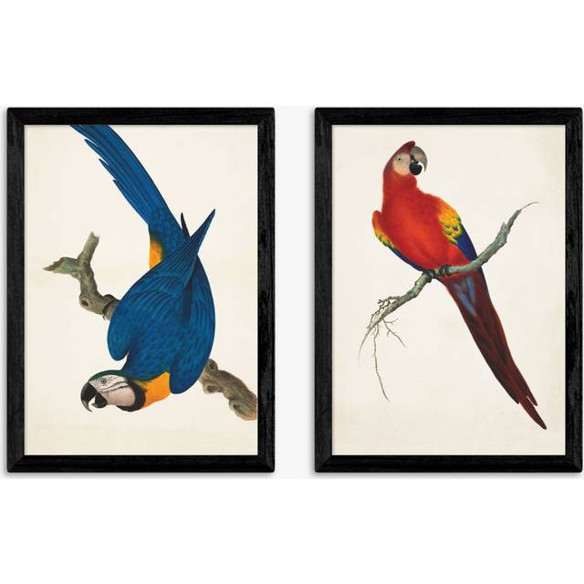 EAST END PRINTS Natural History Museum 'Parrots' Framed Print, Set of 2