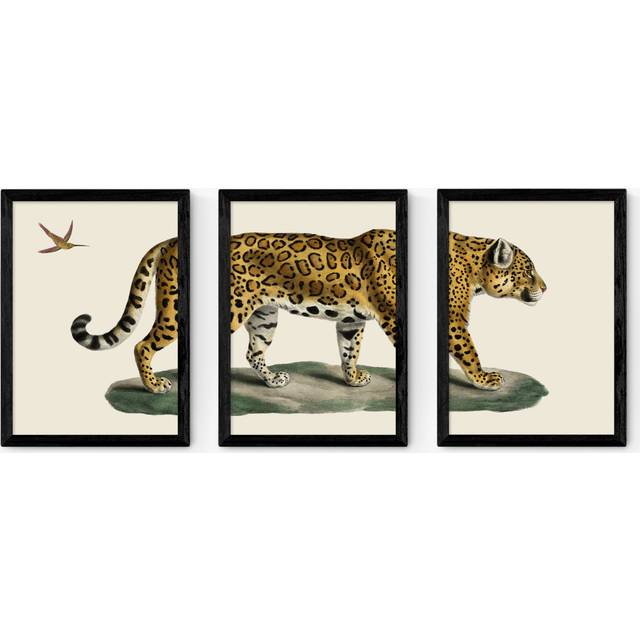 EAST END PRINTS Natural History Museum 'Jaguar' Framed Print, Set of 3