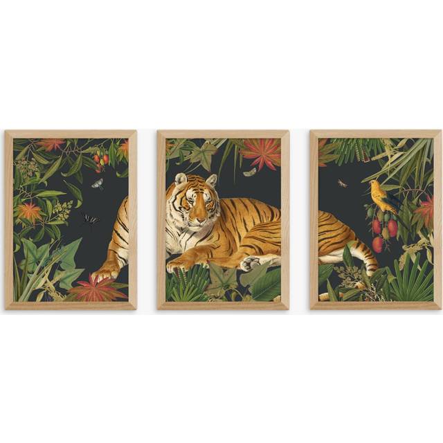 EAST END PRINTS Natural History Museum 'Tiger' Framed Print, Set of 3
