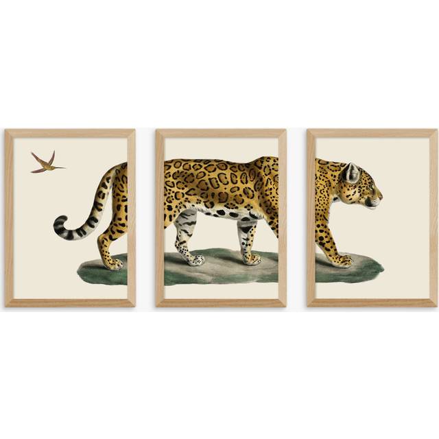 EAST END PRINTS Natural History Museum 'Jaguar' Framed Print, Set of 3