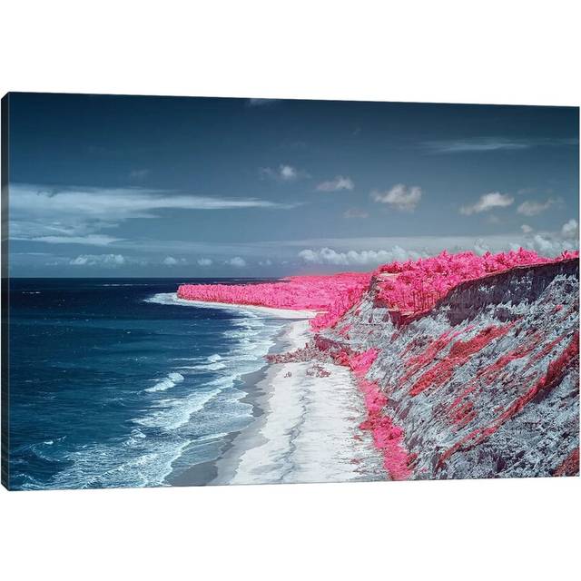 Costal Magenta Beach - Bahia, Brazil - Wrapped Canvas (30.48cm H x 45.72cm W x 1.91cm D)
