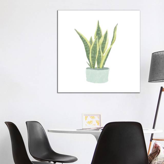 Snake Plant III by Bannarot - Wrapped Canvas Graphic Art (93.98 cm H x 93.98 cm W x 3.175 cm D)