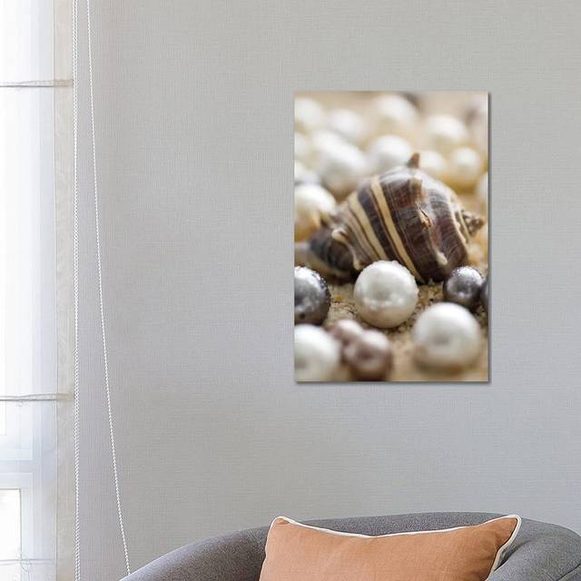 Sea Jewels II by Boyce Watt - Wrapped Canvas Photograph (66.04cm H X 45.72cm W)