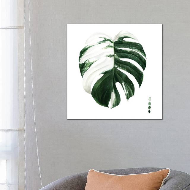 Variegated Monstera II by Grace Popp - Wrapped Canvas Art Prints (66.04 cm H x 66.04 cm W)