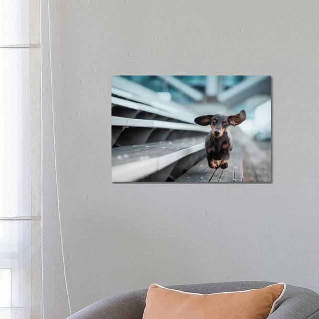 A Little Dog Runs Through the World by Heike Willers - Wrapped Canvas Art Prints (66.04 cm H x 45.72 cm W x 3.175 cm D)