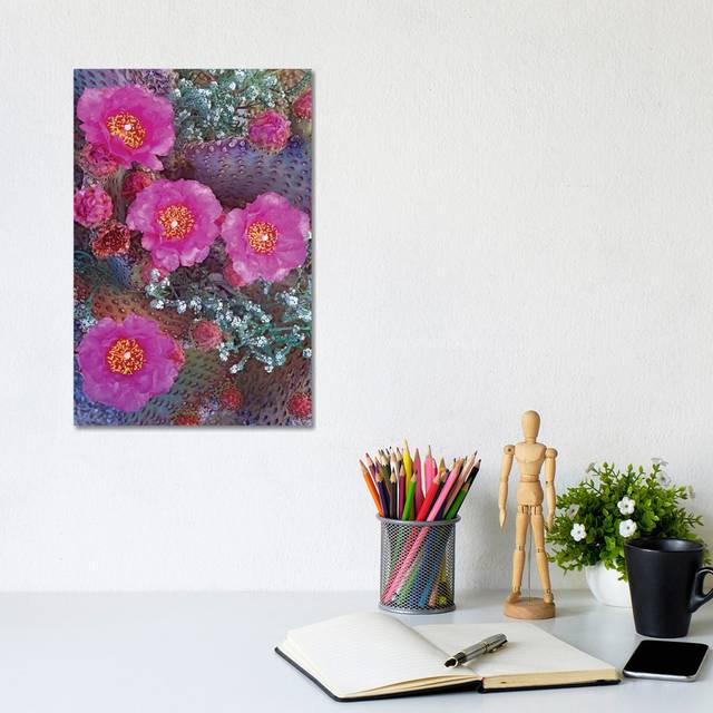 Beavertail Cactus Flowering, North America by Tim Fitzharris - Wrapped Canvas Art Prints (30.48 cm H  x 20.32 cm W)