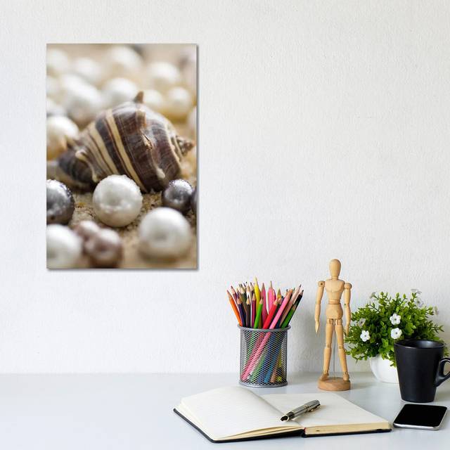 Sea Jewels II by Boyce Watt - Wrapped Canvas Photograph (30.48cm H X 20.32cm W)