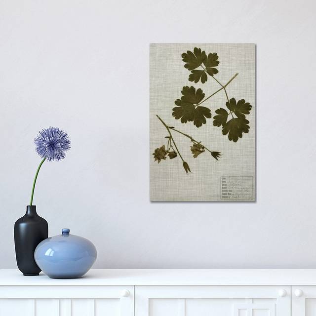 Pressed Leaves on Linen I by Vision Studio - Wrapped Canvas Art Prints (45.72 cm H  x 30.48 cm W)