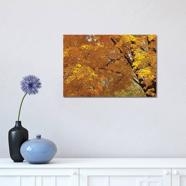 Golden Canopy (30.48cm H x 45.72cm W x 1.91cm D)