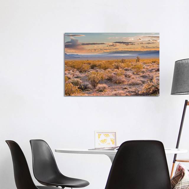 Desert, Lake Mead, Gold Butte National Monument, Nevada by Jeff Foott - Wrapped Canvas Photograph (66.04cm H x 101.6cm W x 3.81cm D)