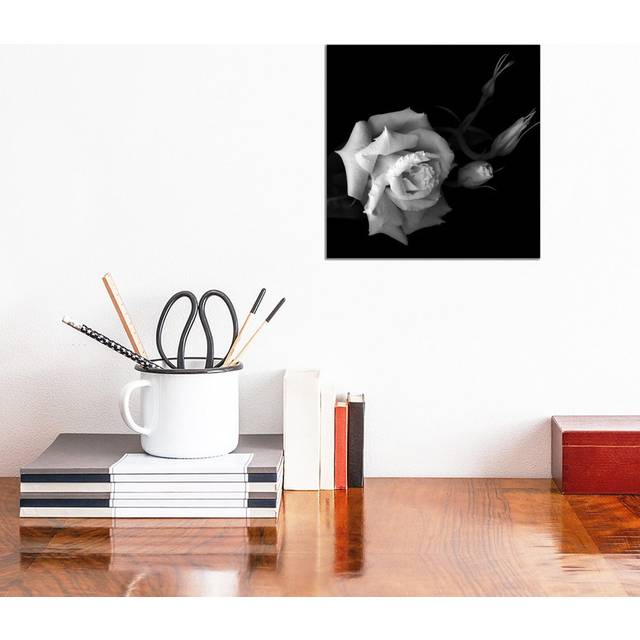 Lisianthus, B&W by Magda Indigo - Wrapped Canvas Graphic Art (30.48cm H x 30.48cm W x 1.905cm D)