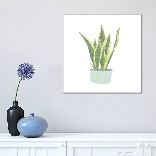 Snake Plant III by Bannarot - Wrapped Canvas Graphic Art (45.72 cm H x 45.72 cm W x 3.175 cm D)