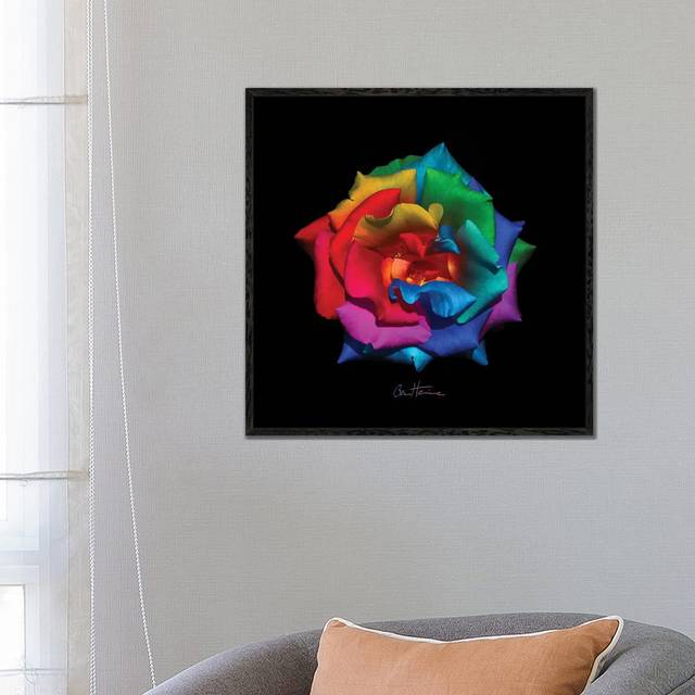 A Gift For My Muse by Ben Heine - Floater Frame Graphic Art on Canvas - Black Framed Canvas (66.04cm H x 66.04cm W x 3.81cm D)