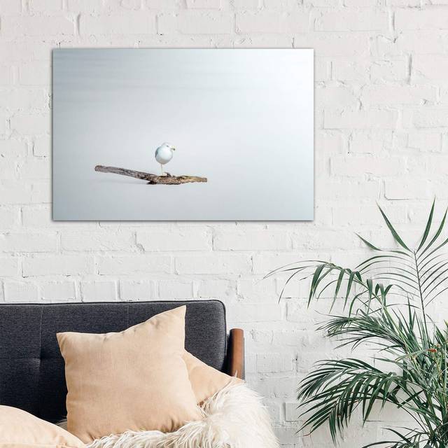 Seagull Sitting on a Log by Nik Rave - Wrapped Canvas Photograph Print (101.6 cm H x 66.04 cm W x 1.91 cm D)