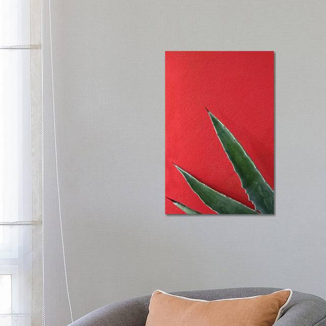Ruby Agave by Honeymoon Hotel - Wrapped Canvas Photograph (66.04 cm H x 45.72 cm W x 1.91 cm D)