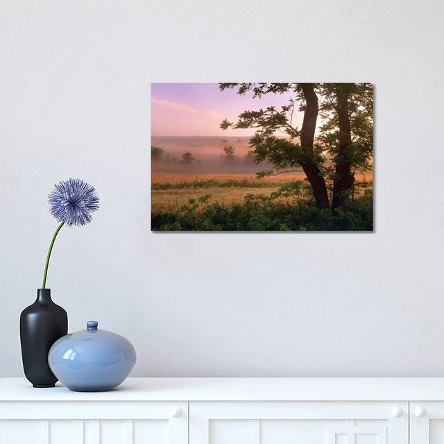 Tallgrass Prairie National Preserve, Kansas by Tim Fitzharris - Wrapped Canvas Photograph (30.48cm H x 45.72cm W x 1.905cm D)